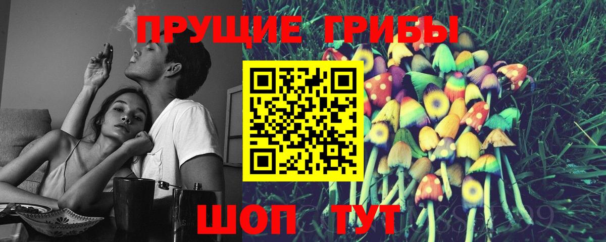 Шебекино  Галлюциногенные грибы Psilocybine cubensis  Вход с VPN 