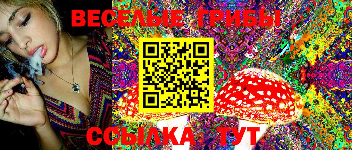 Псилоцибиновые грибы ЛСД Шебекино
